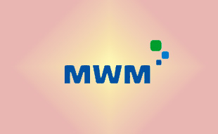 ✓ MWM 0403 3074 Запчасть MWM 